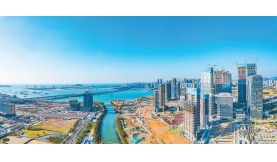 内地伸出“橄榄枝”湾区成创业沃土